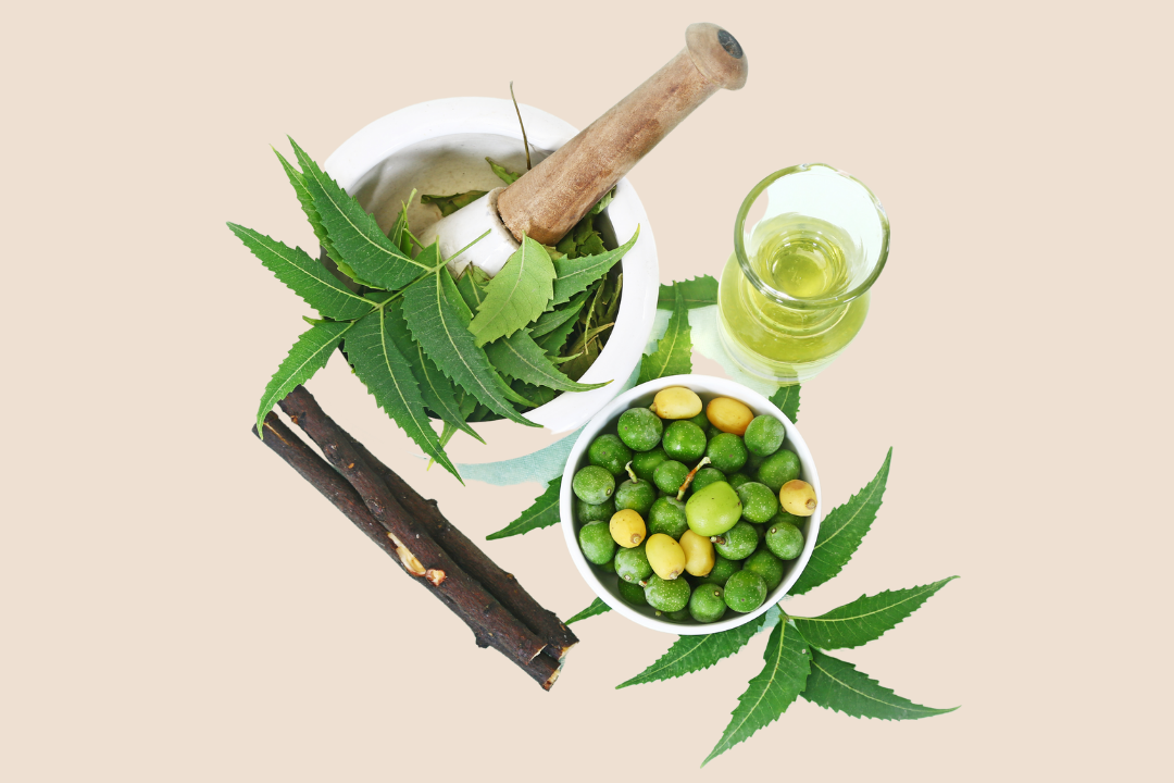 The Powerful Herbs Behind Bennd's Exclusive Formula ~ Neem