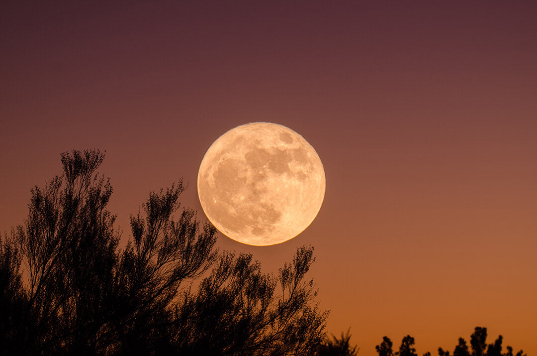 Bennd Yoga Full Moon