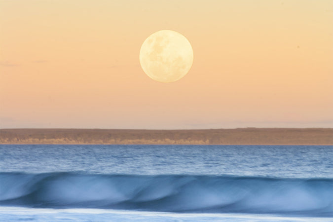 The Meaning of the Full Moon in Aquarius  by Danielle Beinstein
